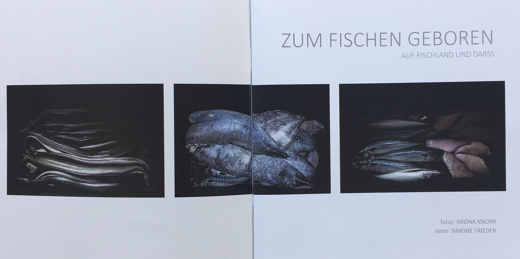 2019 Fischer von Fischland.jpg